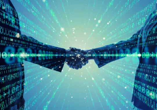eLEND_Partners__data eLEND_Partners__data